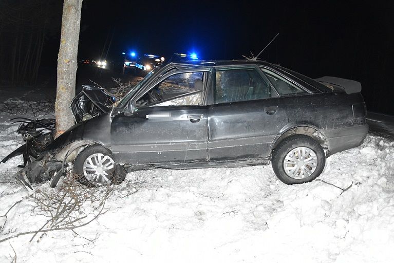 Audi uderzyło w drzewo. Kierowca trafił do szpitala