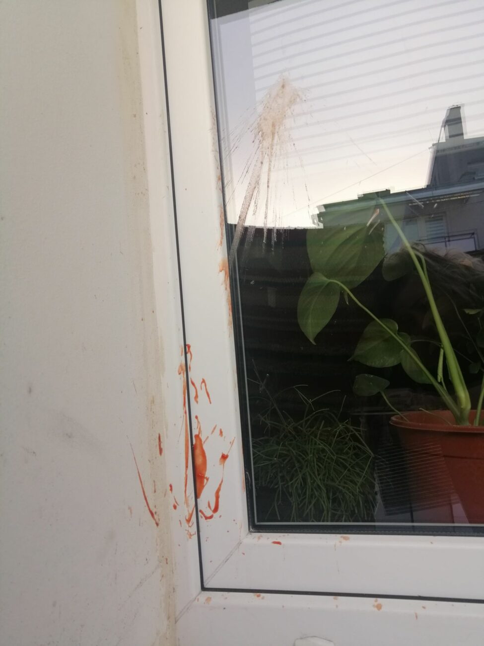 Studenci rzucali w okna jajkami i keczupem? Jest zgłoszenie na policję