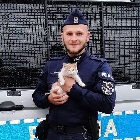 Policjanci uratowali kota