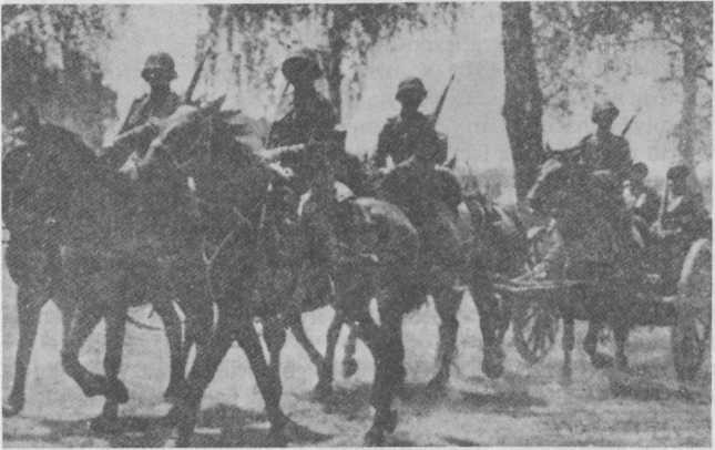 Dzieje 9 pułku artylerii lekkiej w latach 1919-1939 (cz. 23)