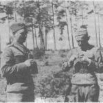 Dzieje 9 pułku artylerii lekkiej w latach 1919-1939 (cz. 25)