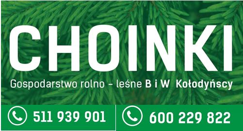 CHOINKI - sprzedaż ciągła od 10 grudnia do WIGILII włącznie. Plantacja ul. Białka 30 (po stronie nowego cmentarza)