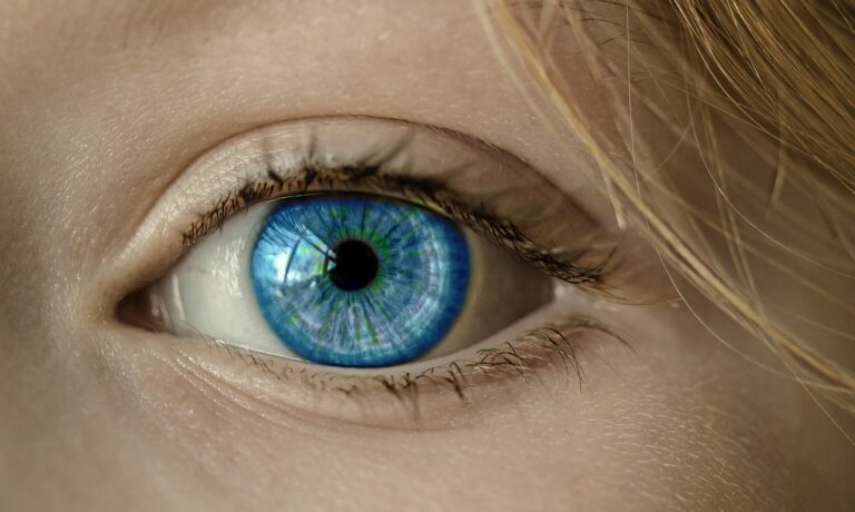 Jak działa oko, czyli garść porad od specjalisty