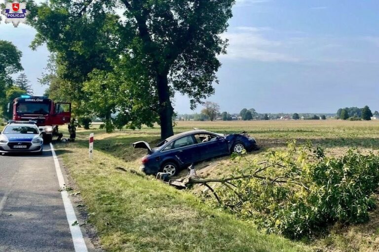 Śmierć kierowcy audi, który wjechał do rowu i wypadł z auta! Nie powinien w ogóle kierować