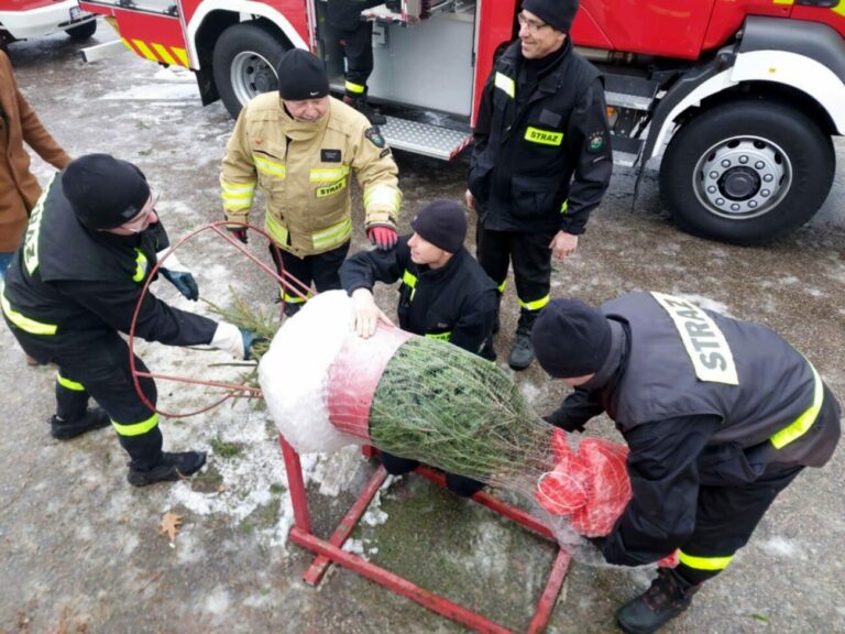 Kup choinkę, wesprzyj leczenie Hani Sęk i Leny Laszuk