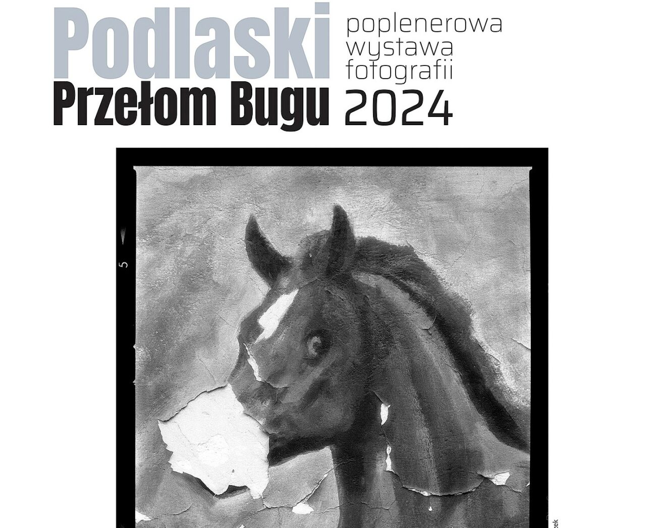 Wystawa zdjęć 'Podlaski Przełom Bugu' w Bialskiej Galerii Fotografii – zapowiedź