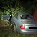 Staranował forda i ogrodzenie, potem szarpał się z funkcjonariuszami