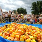 8. Rotariański Wyścig Kaczek z pomocą schronisku Azyl