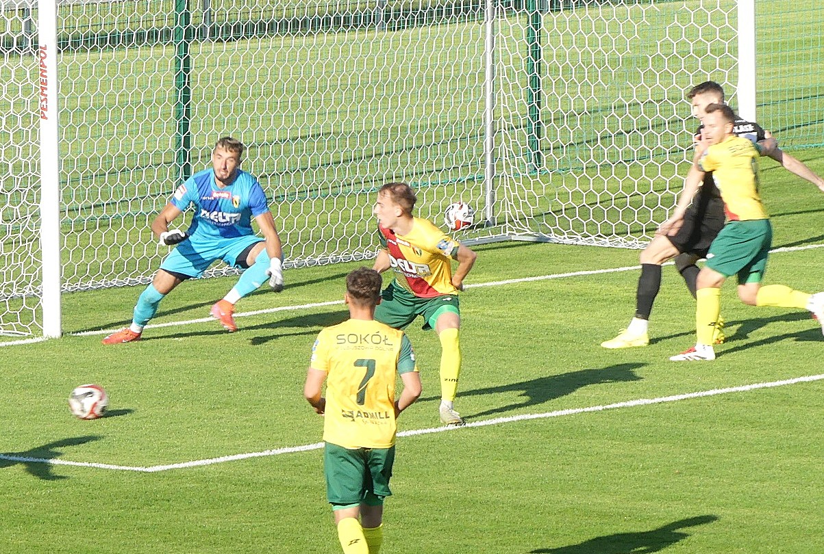 Podlasie ustrzeliło Sokoła
