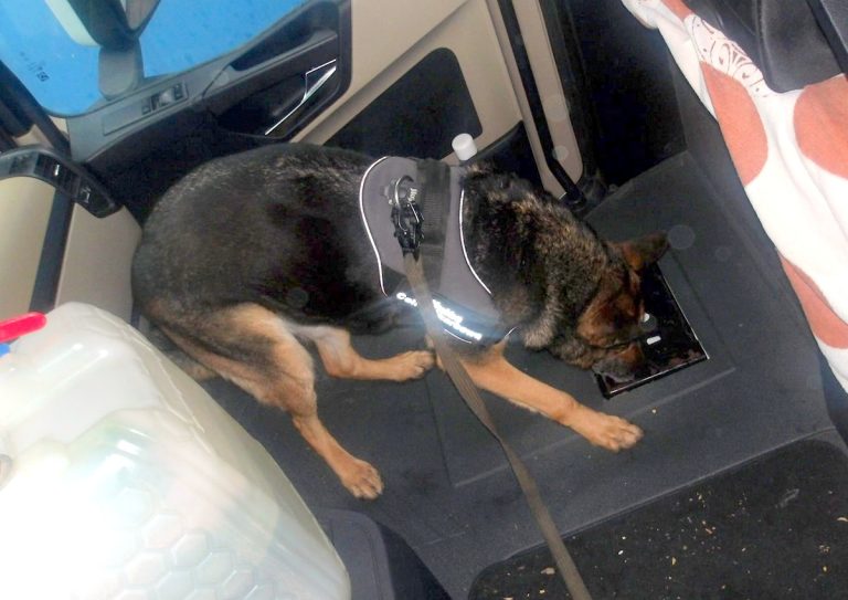 Trzy ciężarówki z kontrabandą w Koroszczynie