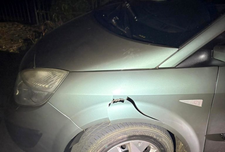 Pijany i bez prawka kierowca wpadł na podwórko, połamał krzewy