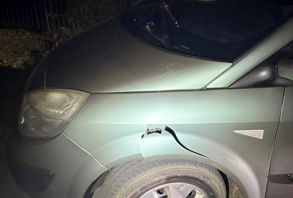 Pijany i bez prawka kierowca wpadł na podwórko, połamał krzewy