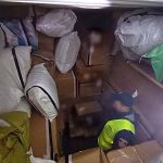 Celne trafienie: 15 tysięcy paczek papierosów w kontenerze