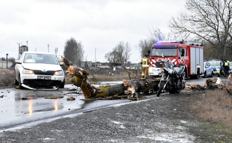 Wpadła autem w leżący na drodze konar – a ten w mężczyznę, który próbował ją ostrzec