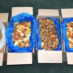 Ukrainiec przemycał ponad 34 kg czerwonych muchomorów