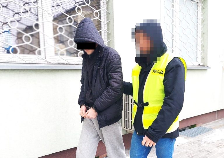 Kradli paliwo na stacjach, posługując się 'pożyczonymi' tablicami rejestracyjnymi