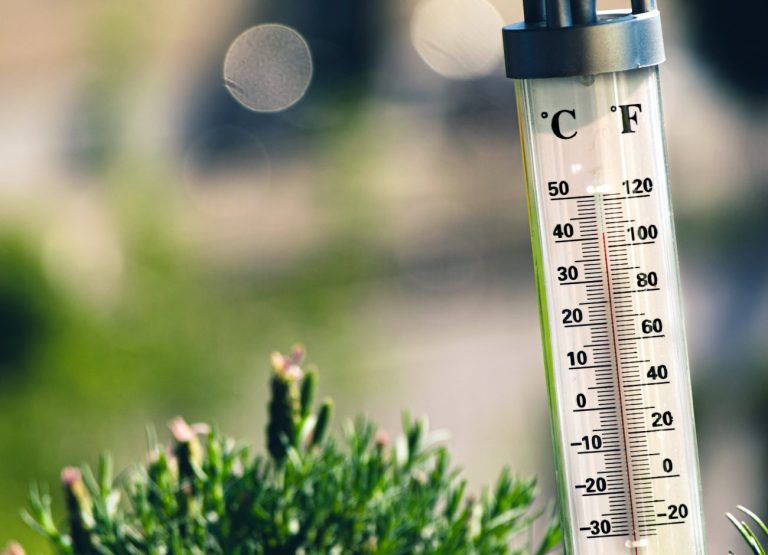 Rewolucja w BHP. Wchodzą sztywne limity temperatur i nowe obowiązki dla firm!